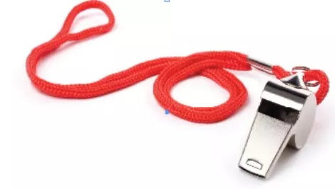 Whistle