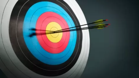 Target bullseye