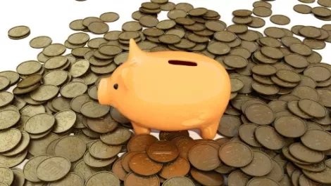 Piggy bank