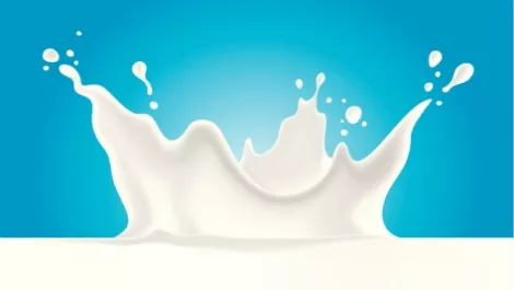 Milk