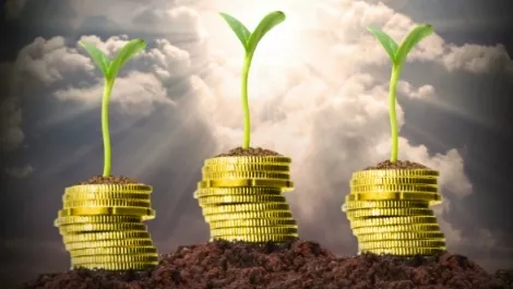 Economy growth