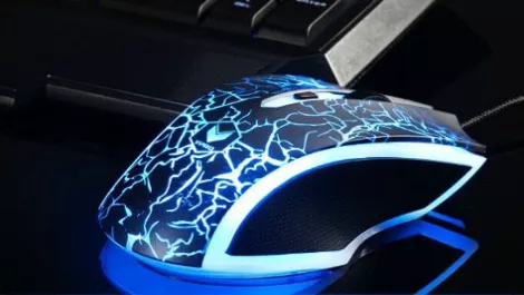 Mouse