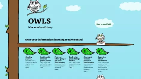 Owls
