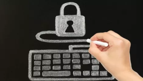 Netsafe 533908069