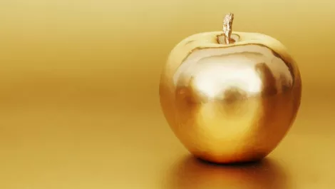 Apple success