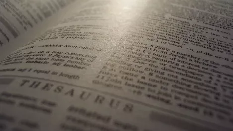 Thesaurus