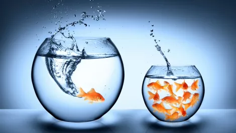 Think outside