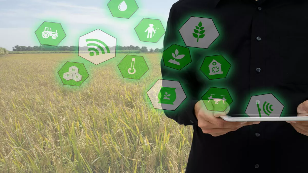 Turning data into action is vital for success in IoT projects