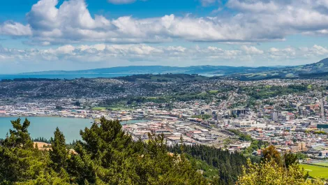 Startup Dunedin gets funding boost from Dunedin City Council