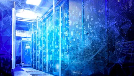 IRD completes 'one of the biggest' IT projects in state sector